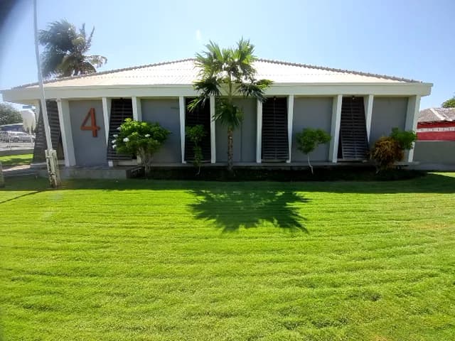 Fachada de casa blanca con columnas, persianas y palmera, rodeada de césped recién cortado