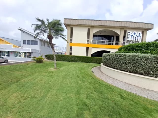 Palmera y arbusto podado en forma redonda junto a la entrada de un edificio comercial